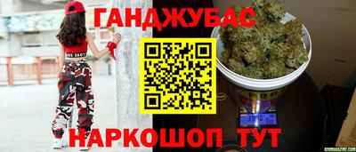 мдпв Новозыбков