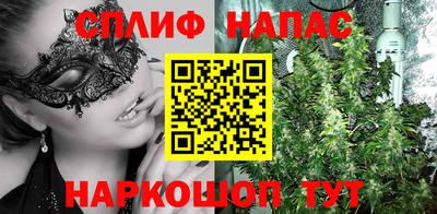 мдпв Новозыбков