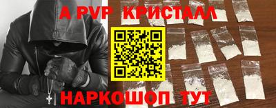 индика Новодвинск