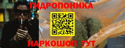 индика Новодвинск