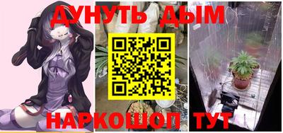 мдпв Новозыбков