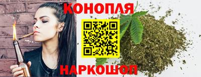 индика Новодвинск