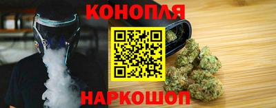 индика Новодвинск