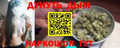индика Новодвинск