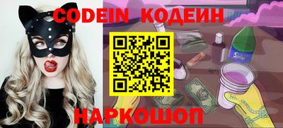 индика Новодвинск