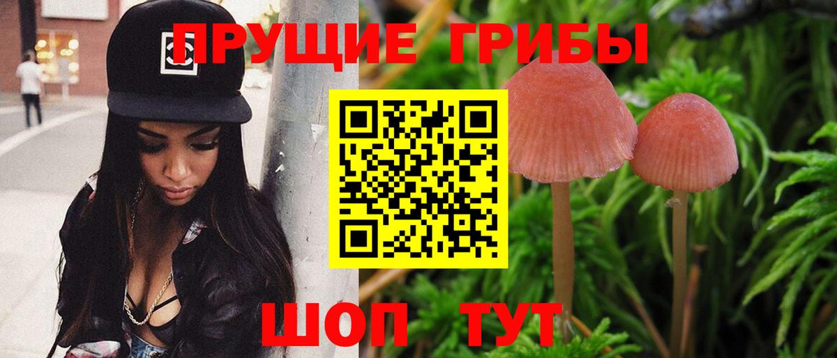 купить наркотики цена  Вход с VPN  Узловая  Псилоцибиновые грибы мухоморы  Галлюциногенные грибы Magic Shrooms 